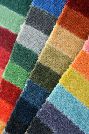 Carpet Colours