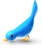 Blue bird pecking at ground