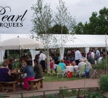 Party Marquee in a Garden