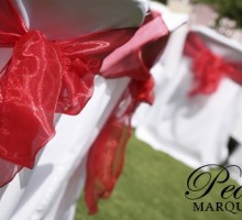 Strawberry Chair Bows