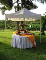 Gazebo Reception Area